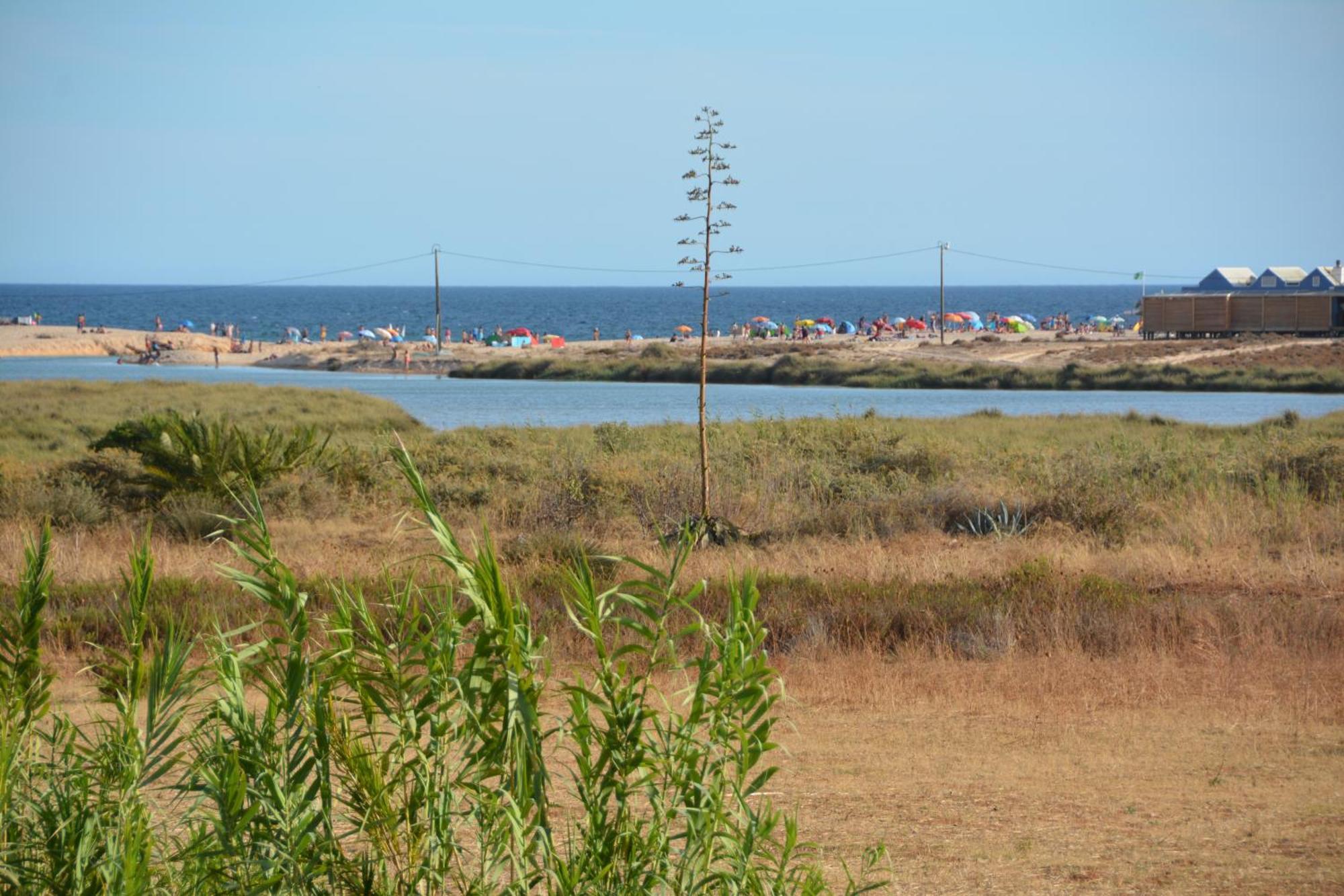 Armação de Pêra Praia Dria מראה חיצוני תמונה